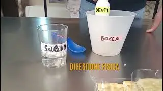 Apparato Digerente in 5 tappe (con esperimenti)