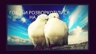 Народные приметы (Media Play Production)