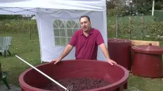 Zoll Cellars &mdash; разделяем страсть к вину и виноделию