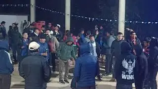 Chilcapampa huarmaca zorzalitos del Per&uacute; 