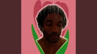 iRose, growth
