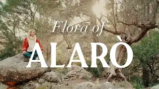 The amazing flora of Alar&ograve; in Mallorca ✨
