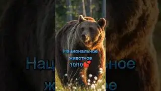 #рек СЛАВА РОССИИ