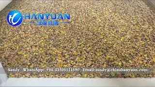 Full Automatic Nuts Bar Machine Nuts Candy Bar Equipment Nuts Bar Production Line#nutsbarmachine