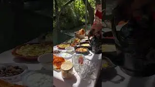 Picnic in the magic nature ☀️🌊🍃#picnic #nature #like #beautiful #love #reels #happy #amazing