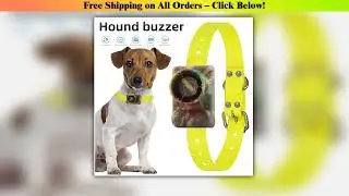 Professional Hunting Dog Beeper Collars Rechargeable Dog Training Collar 8 built-in Beeper Sound