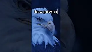 Alone but Powerful eagle attitude #AloneButStrong #PowerOfSilence #UnstoppableMindset #InnerStrength