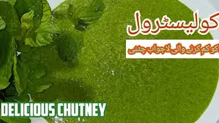 Dahi Pudina Chutney [ Mint Yogurt Dip Sauce ] By S.M Food Secrets