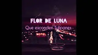 Jairo Torres - Flor de Luna (Lyric Video)