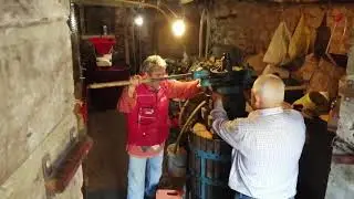 Making wine in Colle Marmo - Abruzzo (Montepulciano )