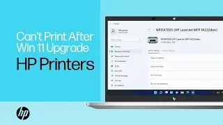 Troubleshooting Printing Issues After a Windows 11 Update or Upgrade | Windows 11 | HP Support
