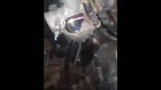 puta madre turbo