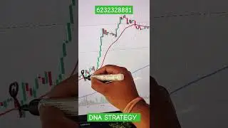 DNA STRATEGY