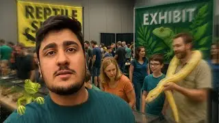 Saanp khareed lea| Mehnga tareen Makri(Spider)| Reptile show