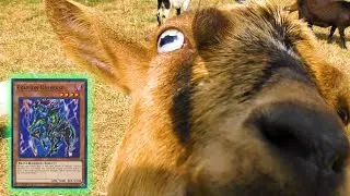 The Men Who Stare At Goats 3: Replacing Exarion Universe