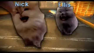 Left 4 Dead Cats REMASTERED
