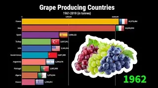 Largest Grape producing countries 1961-2018 | world's Top Grape producers