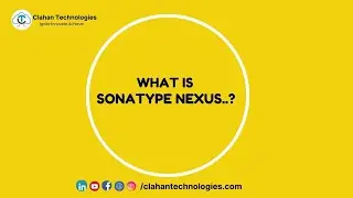 What is Sonatype Nexus?