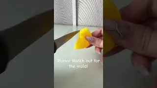 ‼️Watch out for the mold! #safety #kids #bathroom #momhacks #toys #bathtoys #clean