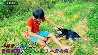 小男孩與狗狗相依為命，希望這裡有他們生活的一席之地《缺失的愛》01