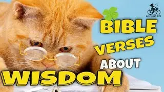 Bible Verses About Wisdom
