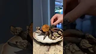Percebes (Barnacles) !!!!!