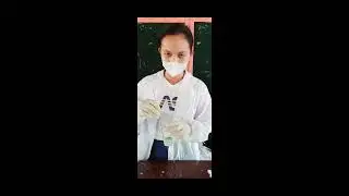 DNA Extraction from your own Check Cells | Activity 12 | BSCRIM 3B