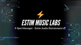 P-Spot Massager - Estim Audio Entrainment
