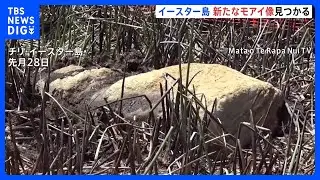 イースター島で新たなモアイ像発見　干上がった湖の底から｜TBS&nbsp;NEWS&nbsp;DIG