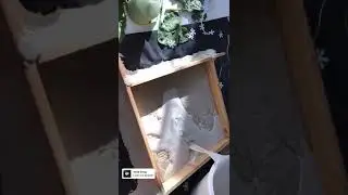 🌿 Unique Art Inspired by Nature #uniqueart #natureart #diycrafts