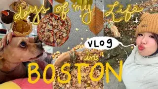 Living Alone in Boston 🦃 friendsgivings, restocking & cleaning the apartment, pho & chinese takeout