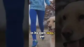 #petsdog #petlover #shorts #ytshorts