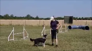 Videokursus Suus 1  lektion