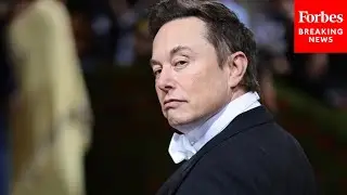 JUST IN: Elon Musk Urges Voters To Back Republicans In Midterms