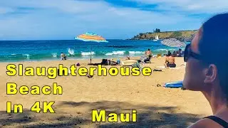 Slaughterhouse Beach In 4K Maui. Honolua Rainforest. Best Snorkel Spot