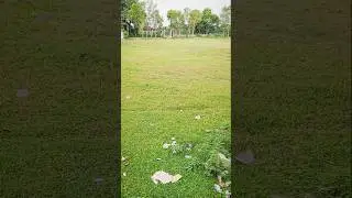 কি অসাধারণ প্লেস। #greengrass #grass #field #greenfield #shorts25 #viral
