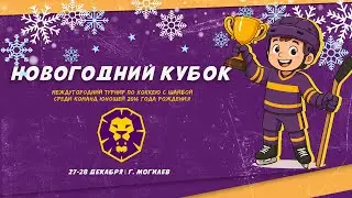 28.12.2025. НК. 2016. Могилев-1 - Шахтер