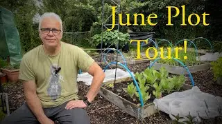 June Plot Tour 2024
