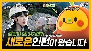 아이돌 '예린'이 E1 태양광 발전소에 왔다! 티티 vs 예린 최고의 인턴은 누구? 티티의 그린에너지 탐방① l 티티 Story EP.10