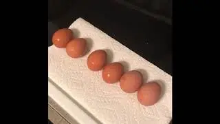 Backyard Eggs vs. Store-bought Eggs