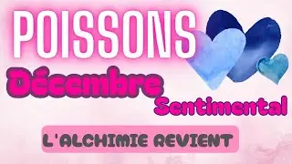 POISSONS SENTIMENTAL l'alchimie revient  | d&eacute;cembre 