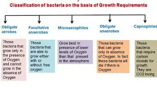 Classification of Bacteria