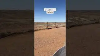 🤯 Longest Fence in the WORLD?! 🐾 Dingo Fence Australia #outbackaustralia #viralshorts