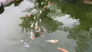 Lake Beratan, Bali, Indonesia 2024 December