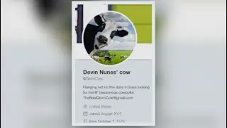 Devin Nunes sues Twitter,  account called 'Devin Nunes' Cow'