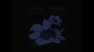 Bright Eyes - I Belive In Symmetry