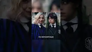 Кубок ПО = Квиддич 2.0!
