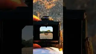 Golden hour views #film #filmcamera #camera