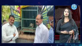 తిరుమలలో మళ్ళీ చిరుత..! | Leopard At Tirumala Ghat Road | Latest News | iDream Madanapalle