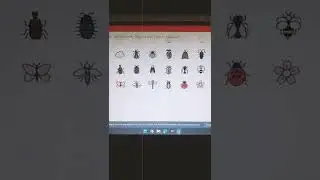 Animated icon